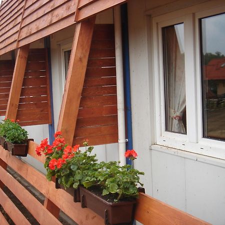 Pensjonat Cztery Pory Roku Tarnowskie Góry Exterior foto